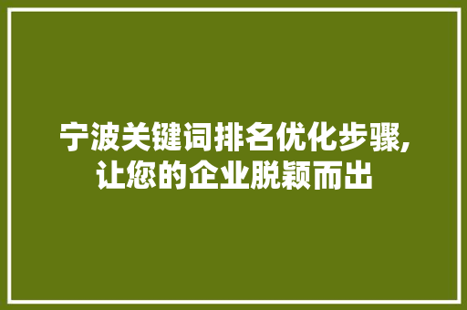 宁波关键词排名优化步骤,让您的企业脱颖而出 种植技巧
