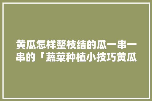黄瓜怎样整枝结的瓜一串一串的「蔬菜种植小技巧黄瓜视频教程」 黄瓜怎样整枝结的瓜一串一串的「蔬菜种植小技巧黄瓜视频教程」 土壤施肥