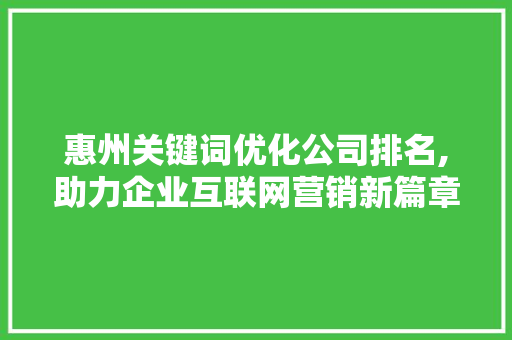 惠州关键词优化公司排名,助力企业互联网营销新篇章