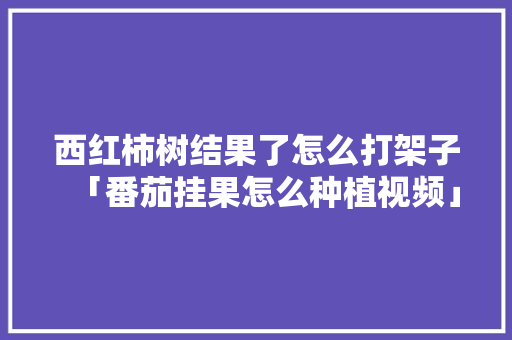 西红柿树结果了怎么打架子「番茄挂果怎么种植视频」 西红柿树结果了怎么打架子「番茄挂果怎么种植视频」 花朵知识