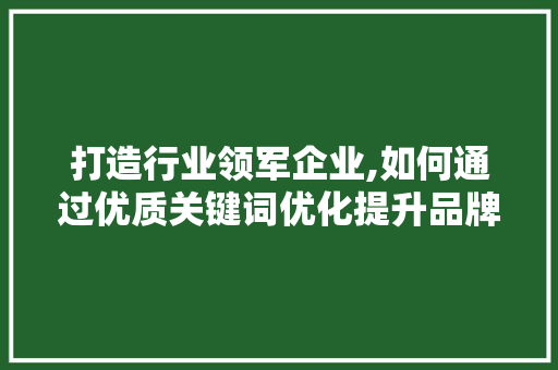 打造行业领军企业,如何通过优质关键词优化提升品牌影响力 土壤施肥