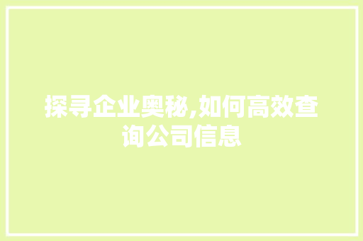 探寻企业奥秘,如何高效查询公司信息