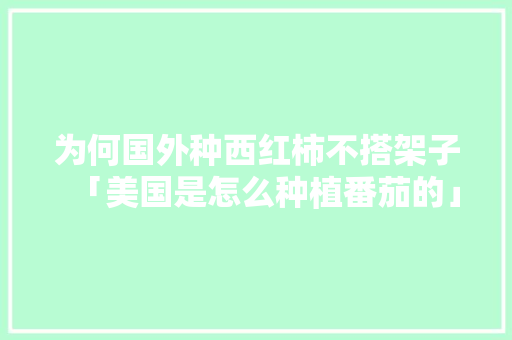 为何国外种西红柿不搭架子「美国是怎么种植番茄的」 为何国外种西红柿不搭架子「美国是怎么种植番茄的」 农业常识