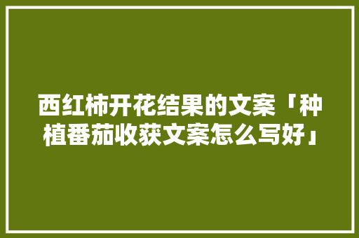 西红柿开花结果的文案「种植番茄收获文案怎么写好」 西红柿开花结果的文案「种植番茄收获文案怎么写好」 番茄种植技巧