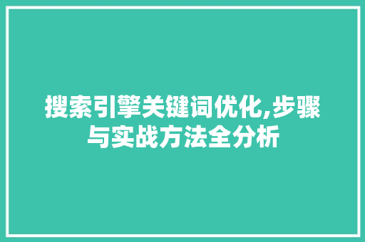 搜索引擎关键词优化,步骤与实战方法全分析