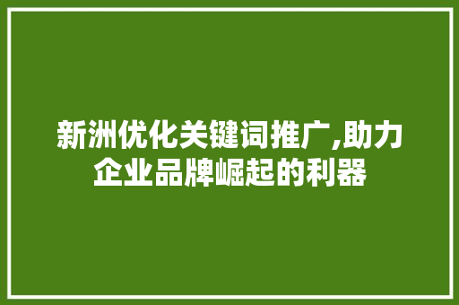 新洲优化关键词推广,助力企业品牌崛起的利器