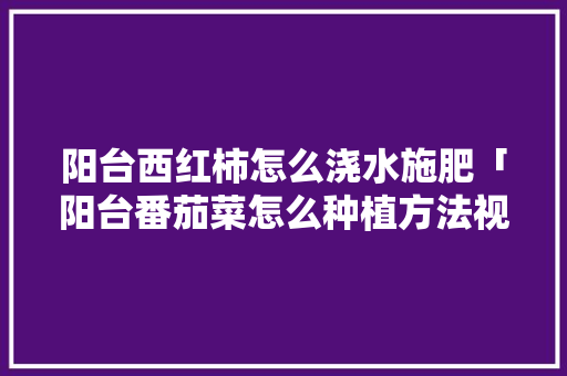 阳台西红柿怎么浇水施肥「阳台番茄菜怎么种植方法视频」 阳台西红柿怎么浇水施肥「阳台番茄菜怎么种植方法视频」 植物种类