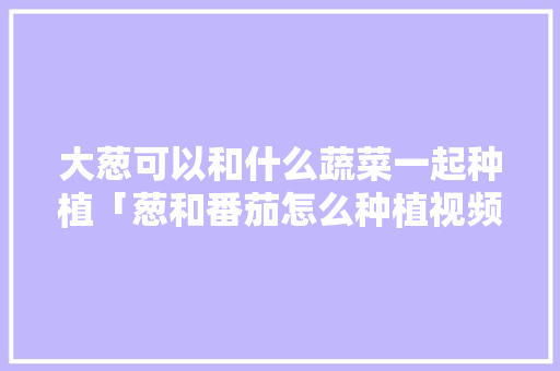 大葱可以和什么蔬菜一起种植「葱和番茄怎么种植视频」