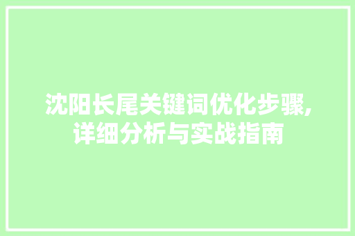 沈阳长尾关键词优化步骤,详细分析与实战指南