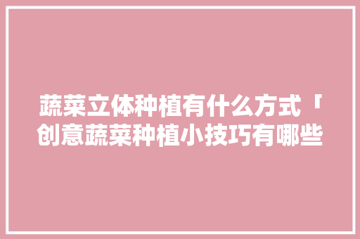 蔬菜立体种植有什么方式「创意蔬菜种植小技巧有哪些」 蔬菜立体种植有什么方式「创意蔬菜种植小技巧有哪些」 番茄种植技巧