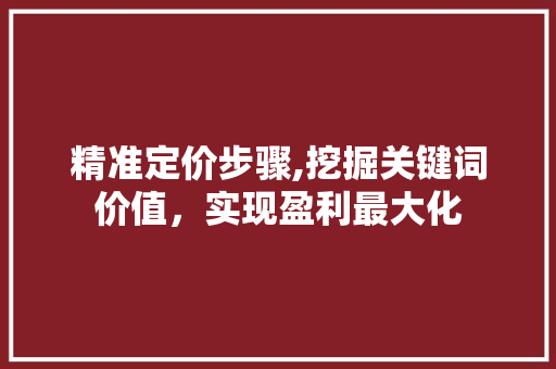 精准定价步骤,挖掘关键词价值，实现盈利最大化