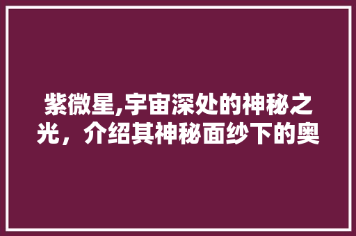 紫微星,宇宙深处的神秘之光，介绍其神秘面纱下的奥秘