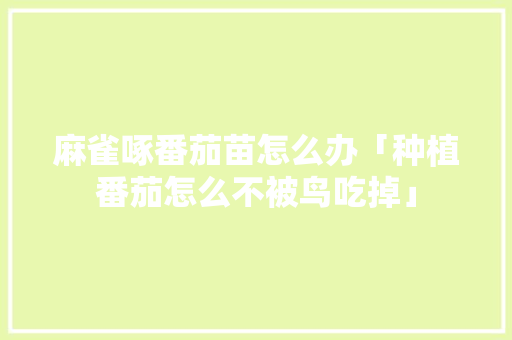 麻雀啄番茄苗怎么办「种植番茄怎么不被鸟吃掉」 麻雀啄番茄苗怎么办「种植番茄怎么不被鸟吃掉」 番茄病虫害防治