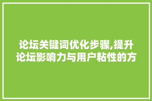 论坛关键词优化步骤,提升论坛影响力与用户粘性的方法
