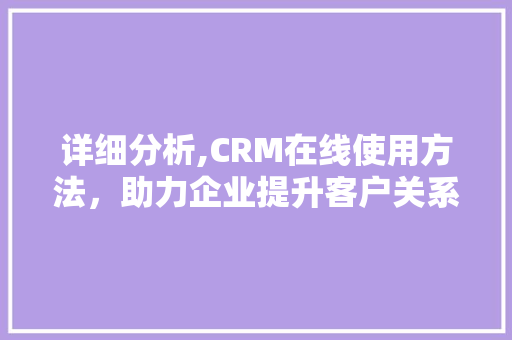详细分析,CRM在线使用方法，助力企业提升客户关系管理效率