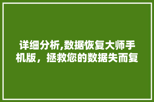 详细分析,数据恢复大师手机版，拯救您的数据失而复得