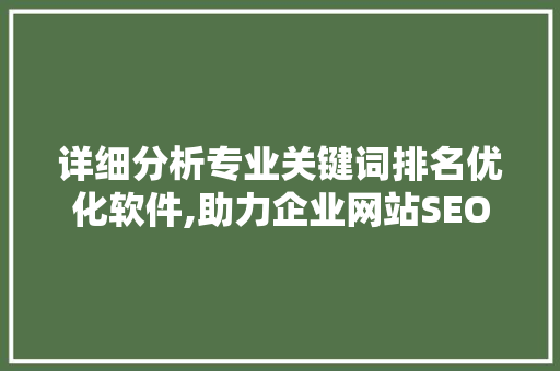 详细分析专业关键词排名优化软件,助力企业网站SEO高效提升