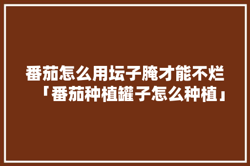 番茄怎么用坛子腌才能不烂「番茄种植罐子怎么种植」 番茄怎么用坛子腌才能不烂「番茄种植罐子怎么种植」 番茄病虫害防治
