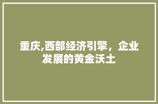 重庆,西部经济引擎，企业发展的黄金沃土