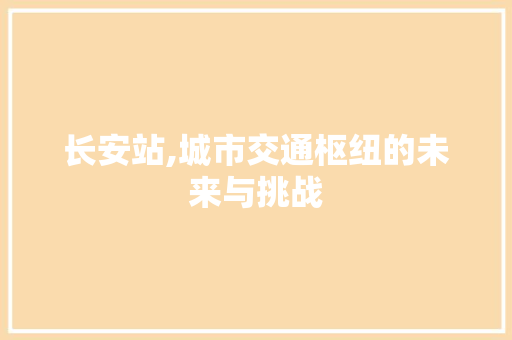 长安站,城市交通枢纽的未来与挑战