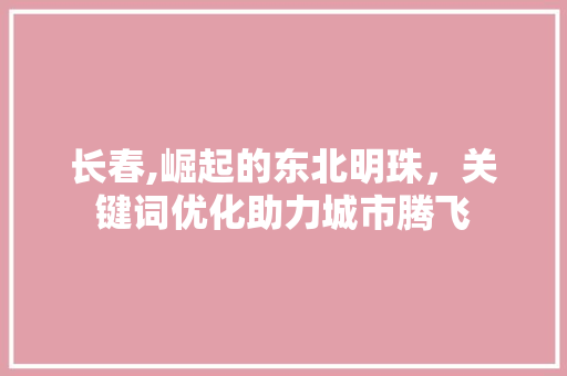 长春,崛起的东北明珠，关键词优化助力城市腾飞