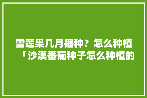 雪莲果几月播种？怎么种植「沙漠番茄种子怎么种植的视频」 雪莲果几月播种？怎么种植「沙漠番茄种子怎么种植的视频」 农业常识