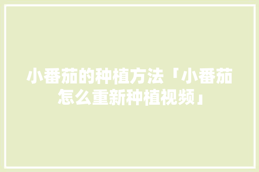 小番茄的种植方法「小番茄怎么重新种植视频」 小番茄的种植方法「小番茄怎么重新种植视频」 番茄种植技巧