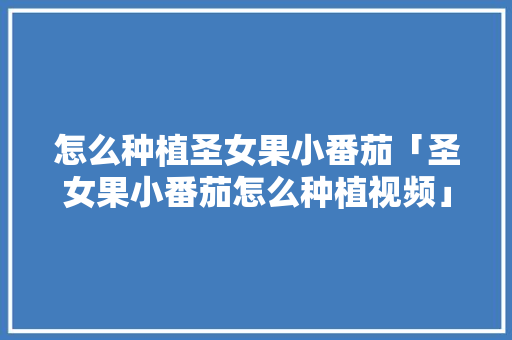 怎么种植圣女果小番茄「圣女果小番茄怎么种植视频」 怎么种植圣女果小番茄「圣女果小番茄怎么种植视频」 农业常识