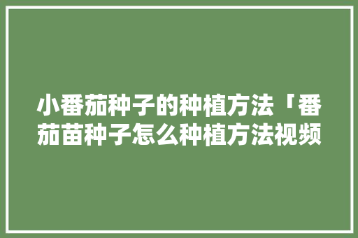 小番茄种子的种植方法「番茄苗种子怎么种植方法视频」 小番茄种子的种植方法「番茄苗种子怎么种植方法视频」 种植技巧