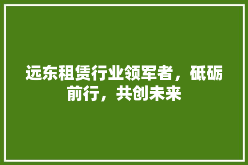 远东租赁行业领军者，砥砺前行，共创未来