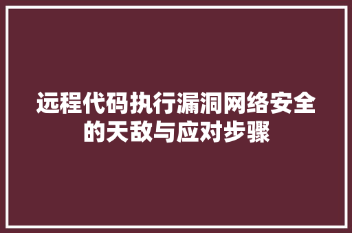 远程代码执行漏洞网络安全的天敌与应对步骤
