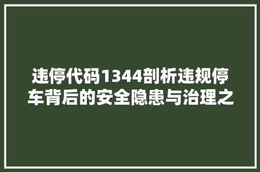 违停代码1344剖析违规停车背后的安全隐患与治理之路