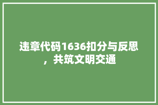 违章代码1636扣分与反思，共筑文明交通