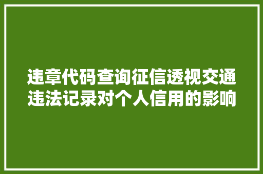 违章代码查询征信透视交通违法记录对个人信用的影响