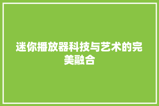 迷你播放器科技与艺术的完美融合