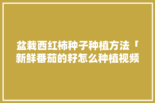 盆栽西红柿种子种植方法「新鲜番茄的籽怎么种植视频」 盆栽西红柿种子种植方法「新鲜番茄的籽怎么种植视频」 植物种类