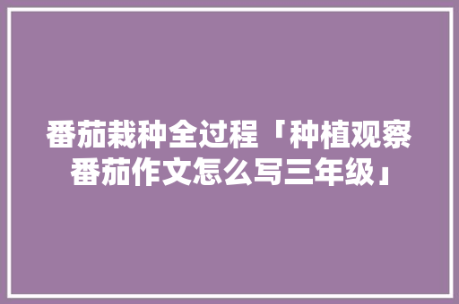 番茄栽种全过程「种植观察番茄作文怎么写三年级」 番茄栽种全过程「种植观察番茄作文怎么写三年级」 土壤施肥