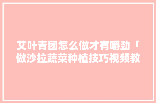 艾叶青团怎么做才有嚼劲「做沙拉蔬菜种植技巧视频教程」 艾叶青团怎么做才有嚼劲「做沙拉蔬菜种植技巧视频教程」 种植技巧