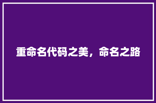 重命名代码之美，命名之路