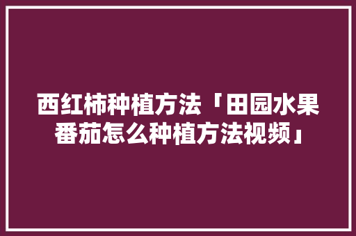西红柿种植方法「田园水果番茄怎么种植方法视频」 西红柿种植方法「田园水果番茄怎么种植方法视频」 土壤施肥