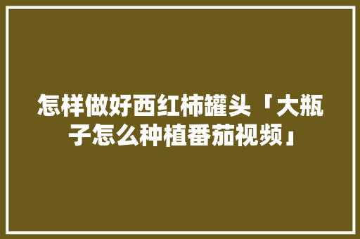 怎样做好西红柿罐头「大瓶子怎么种植番茄视频」 怎样做好西红柿罐头「大瓶子怎么种植番茄视频」 花朵知识