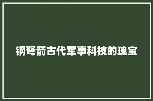 钢弩箭古代军事科技的瑰宝