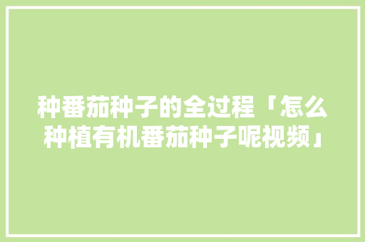 种番茄种子的全过程「怎么种植有机番茄种子呢视频」 番茄种植技巧 种番茄种子的全过程「怎么种植有机番茄种子呢视频」 种番茄种子的全过程「怎么种植有机番茄种子呢视频」 番茄种植技巧