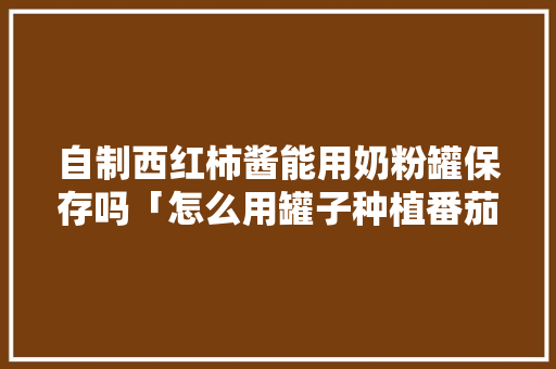 自制西红柿酱能用奶粉罐保存吗「怎么用罐子种植番茄呢视频」 自制西红柿酱能用奶粉罐保存吗「怎么用罐子种植番茄呢视频」 花朵知识