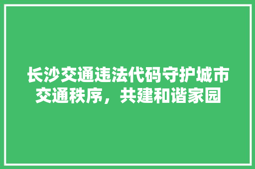 长沙交通违法代码守护城市交通秩序，共建和谐家园