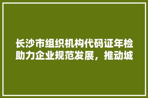 长沙市组织机构代码证年检助力企业规范发展，推动城市经济腾飞