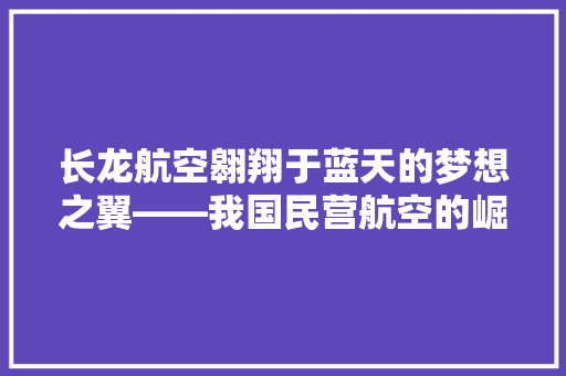 长龙航空翱翔于蓝天的梦想之翼——我国民营航空的崛起之路