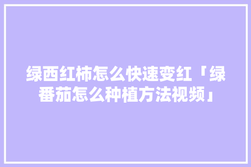 绿西红柿怎么快速变红「绿番茄怎么种植方法视频」 绿西红柿怎么快速变红「绿番茄怎么种植方法视频」 番茄病虫害防治