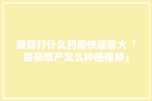 番茄打什么药能快速膨大「番茄增产怎么种植视频」