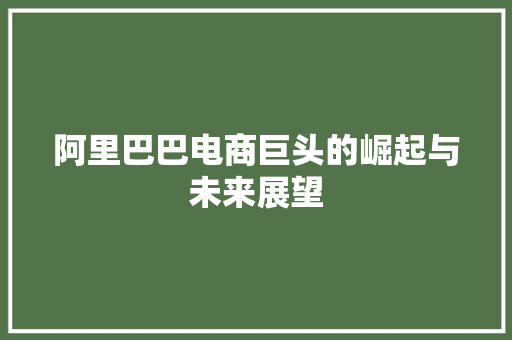 阿里巴巴电商巨头的崛起与未来展望